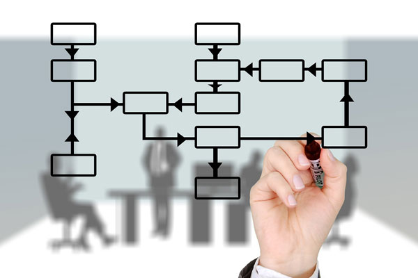 Brand and Social Media Strategy
